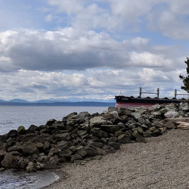 503d491d-f2e5-4d94-bef9-cf8e12f33ea1