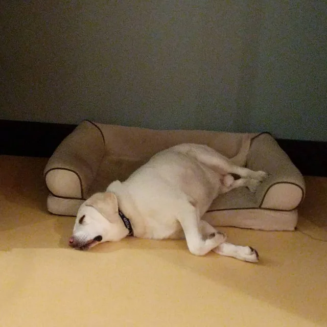 55eb3305-5241-4bbf-af4e-0b81e6e3d8a3